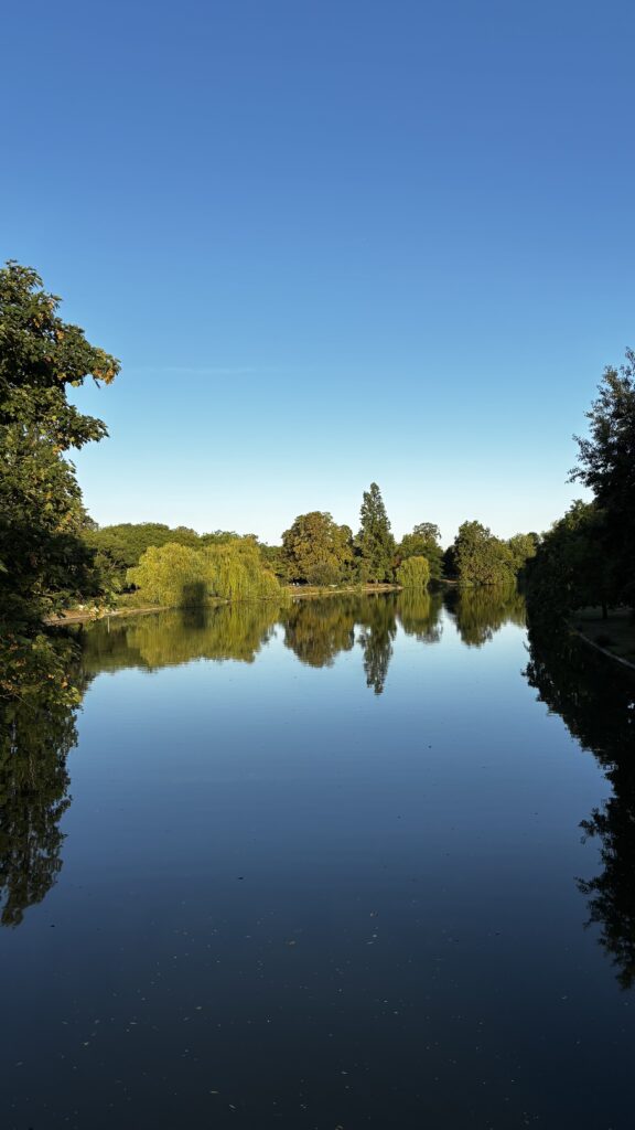 Paysage naturel avec étang et arbres, ambiance calme propice à la détente et à la sophrologie