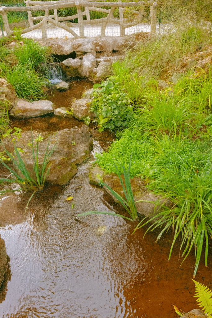 <img src="lieu.jpg" alt="Lieu de retraite bien-être en pleine nature, idéal pour la sophrologie et le ressourcement intérieur. ">