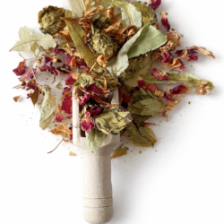 Infusion Velours Nocturne fleurs séchées houblon rose tilleul sur fond blanc.